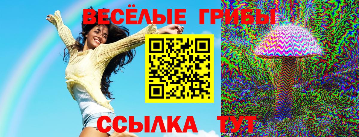 Галлюциногенные грибы ЛСД  Вход с VPN  Галлюциногенные грибы Magic Shrooms  Псков 