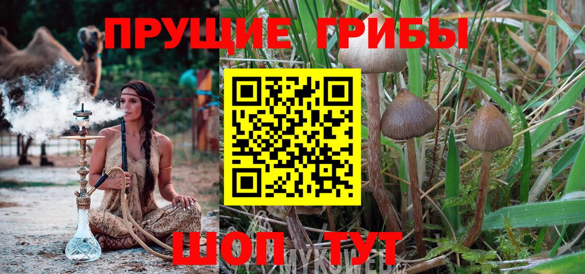 Галлюциногенные грибы мухоморы Псков